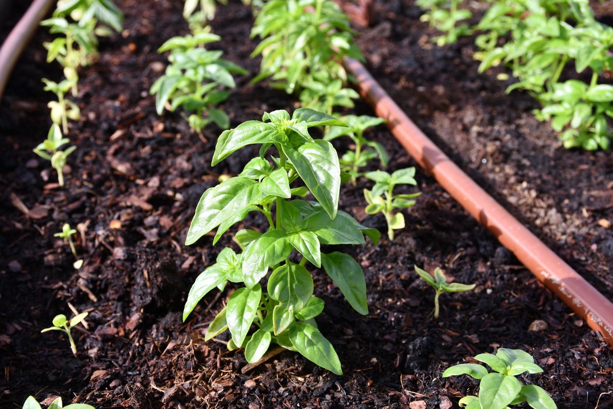 😀 Hoy os vamos a contar algo que teníamos ganas de desvelaros desde hace unas semanas.

👀 Es sobre un proyecto nuevo que estamos gestionando y que nos parece muy interesante e innovador.

¿Queréis saber más? 

¡Seguid leyendo el hilo! 👇