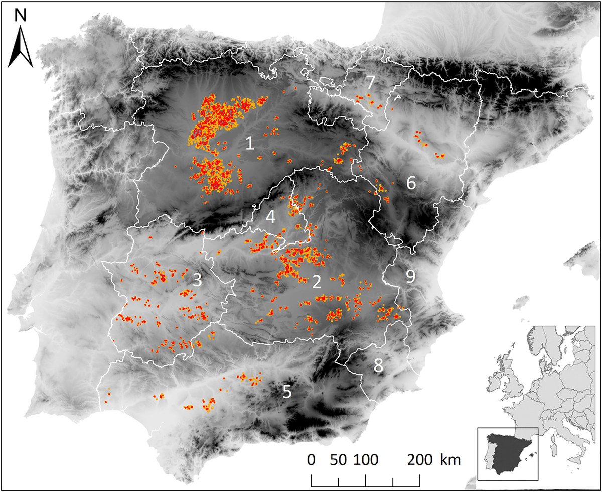 Investigadores del <a href="/mncn_csic/">Museo Nacional de Ciencias Naturales</a> acaban de publicar un mapa con importantes novedades sobre la distribución de la avutarda en España. 

Es una información trascendental para planificar mejor el desarrollo infraestructura renovable en hábitats agroesteparios. sciencedirect.com/science/articl…