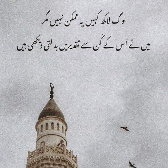 Saniasharif2's tweet photo. Don't lose Hope.
Everything happens for a reason.
You never know what tomorrow may bring. https://t.co/4r4gFoAU1w