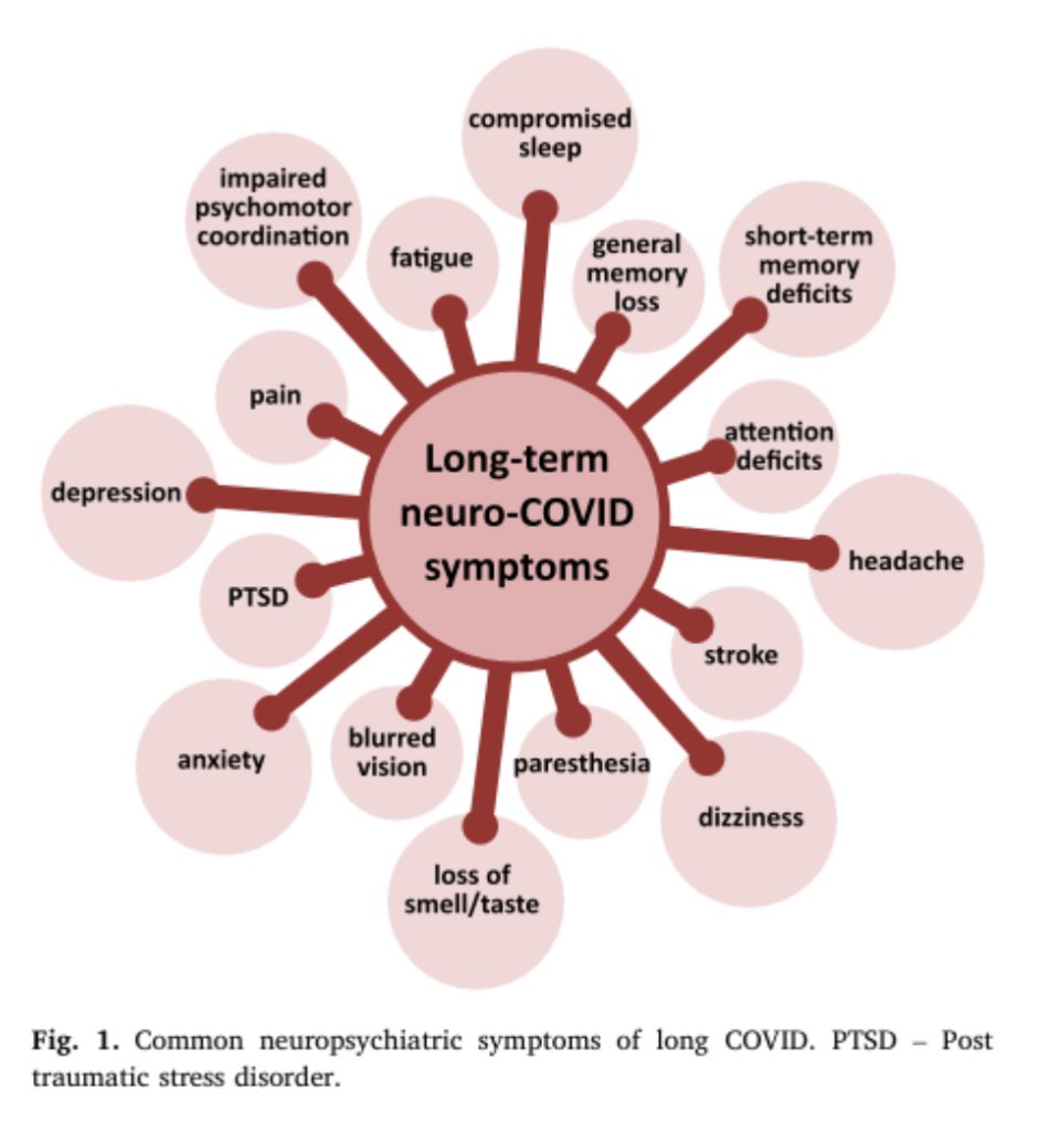 sandralopezleon's tweet image. 🦠 #NeuroLongCOVID Síntomas que pueden persistir inclusive 2 años después de #COVID 

sciencedirect.com/science/articl…