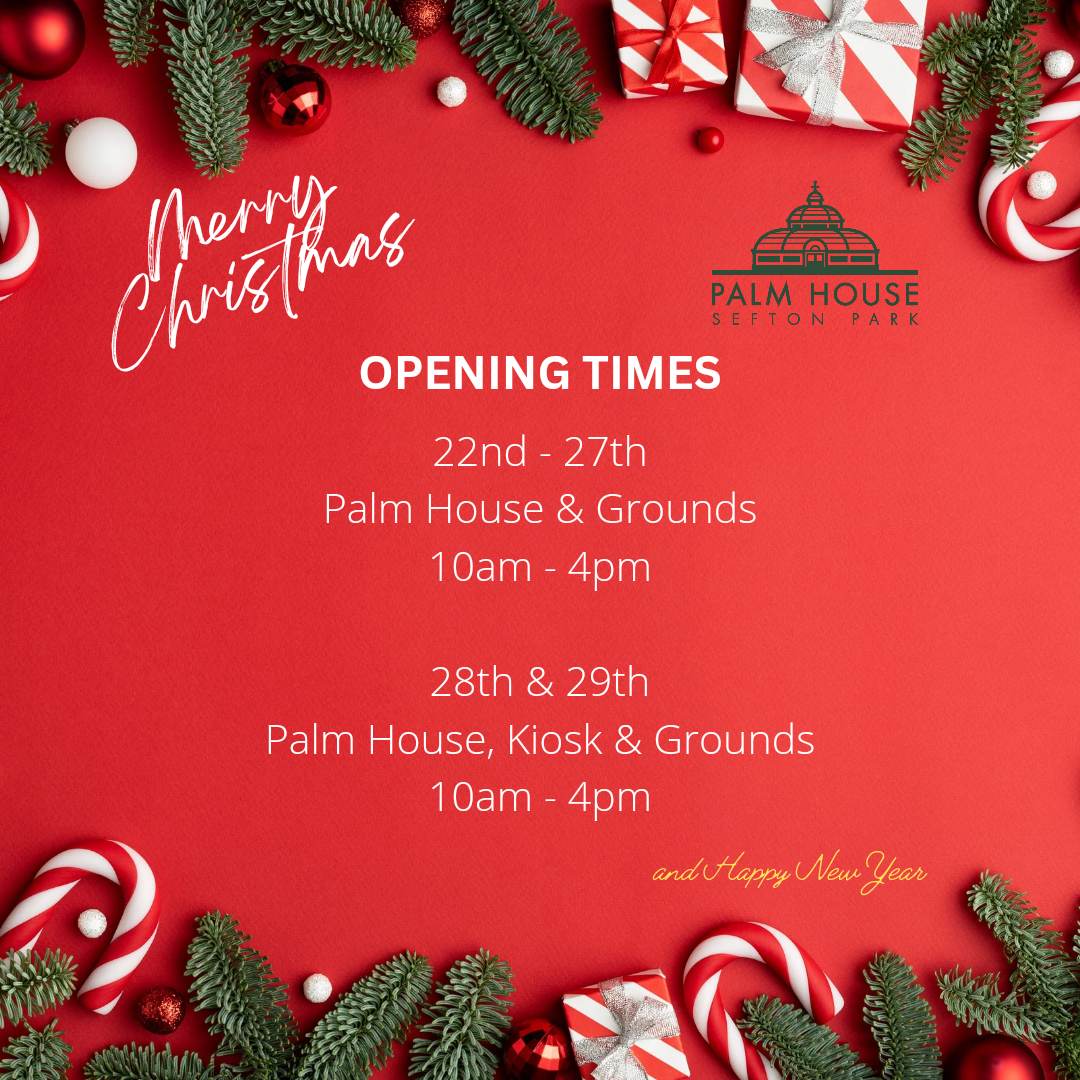 🎄🎊Opening Times for the following festive week🎊🎄
#merrychristmas #christmas #seftonparkpalmhouse #palmhouseliverpool #seftonpark #aigburth #sefton #newyear #palmhouse #merry #openingtimes #Open #parkwalk #christmaswalk