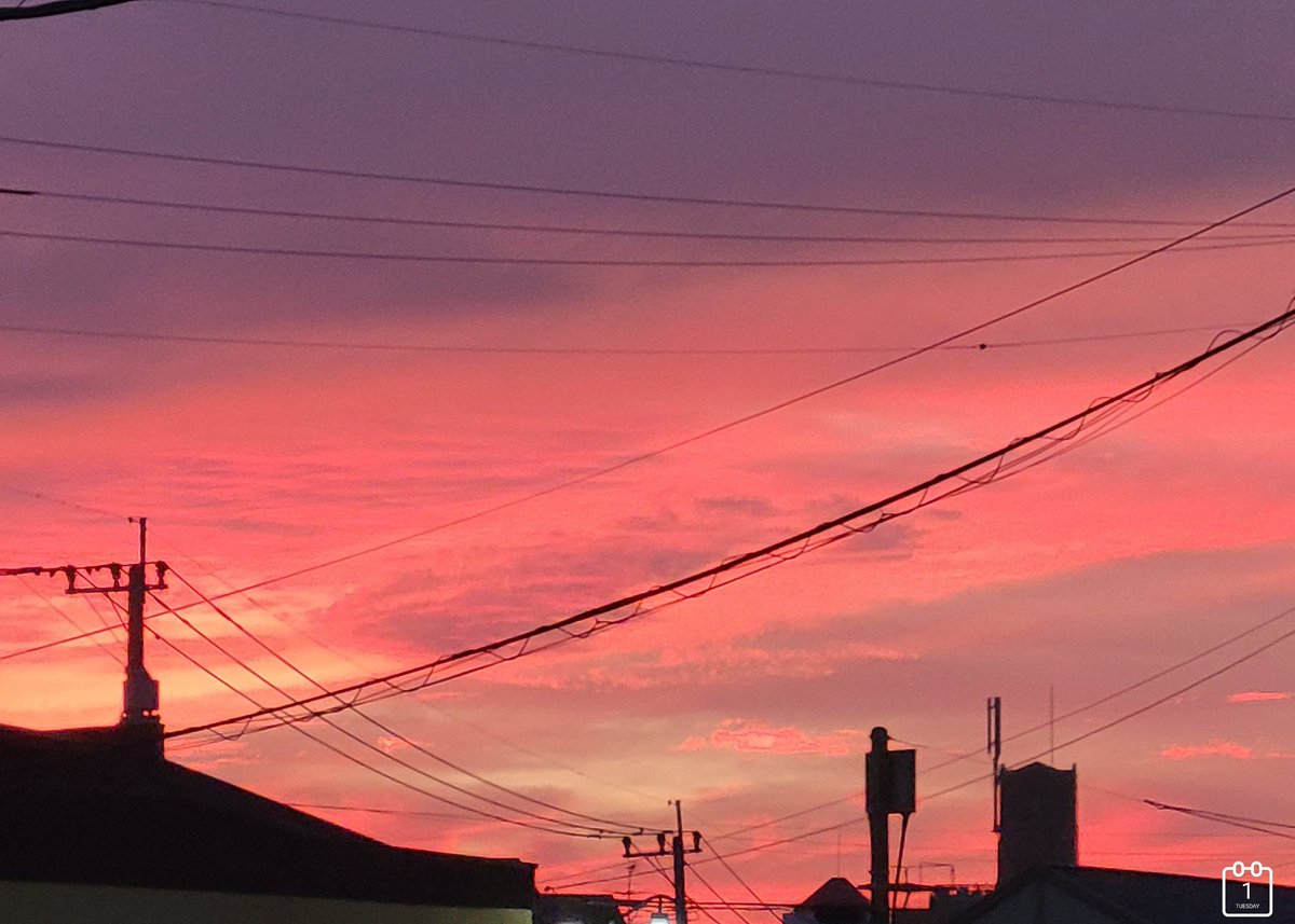 rb33dj35's tweet photo. 好きなPink Sky☆🥰
#空
#日常垢さんと繋がりたい
#いいねした人全員フォローする https://t.co/QQ8rCSkW4Q