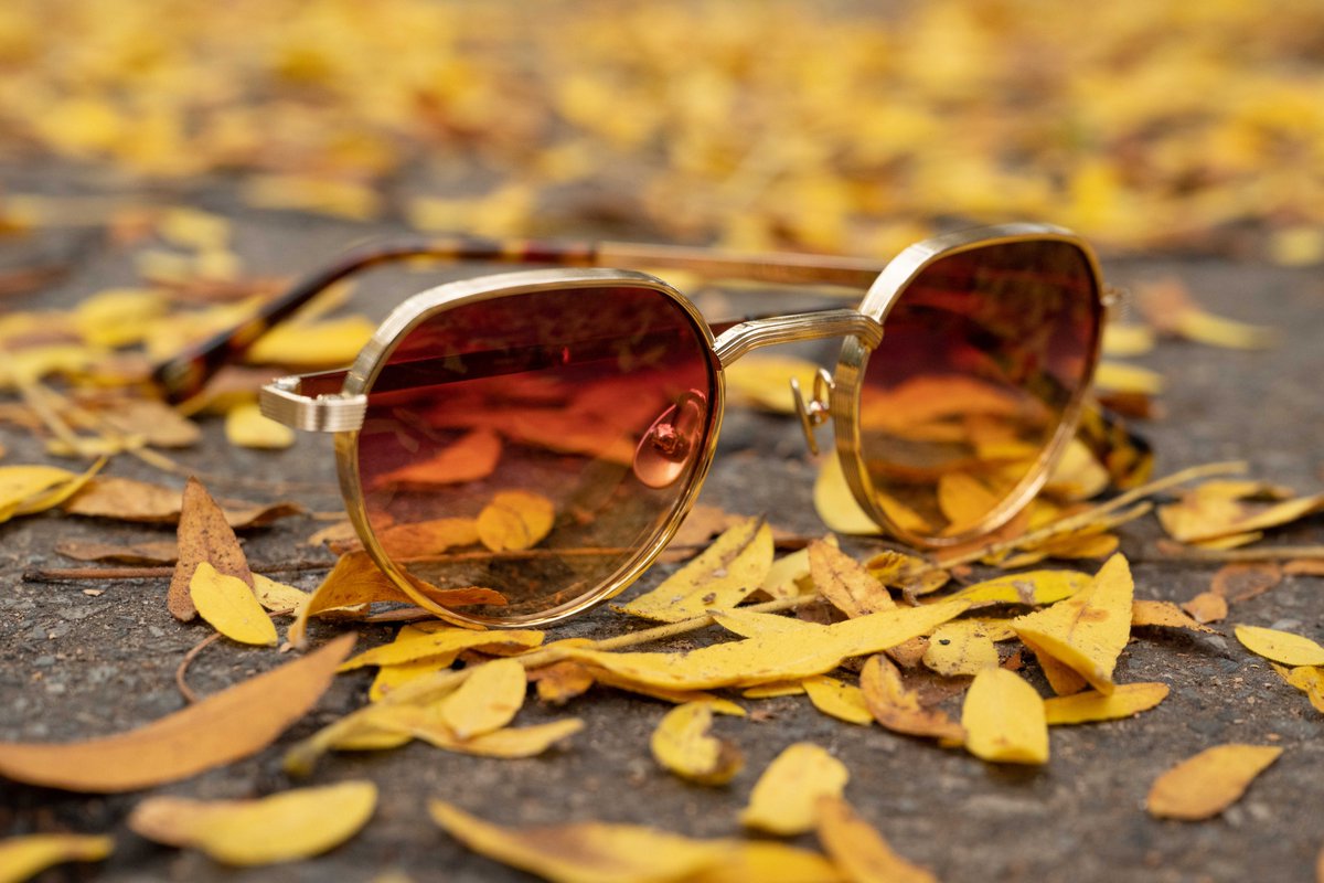 Emma Drewery Optom tweet media