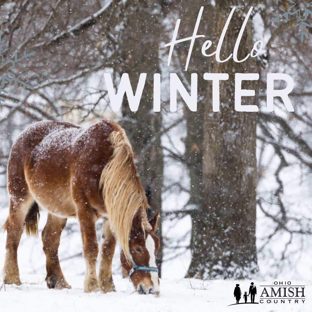 The first official day of winter is upon us!