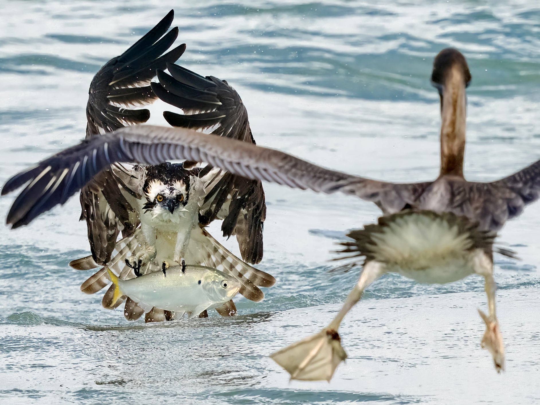 Mark Smith Photography on Twitter "The battle is about to begin. If