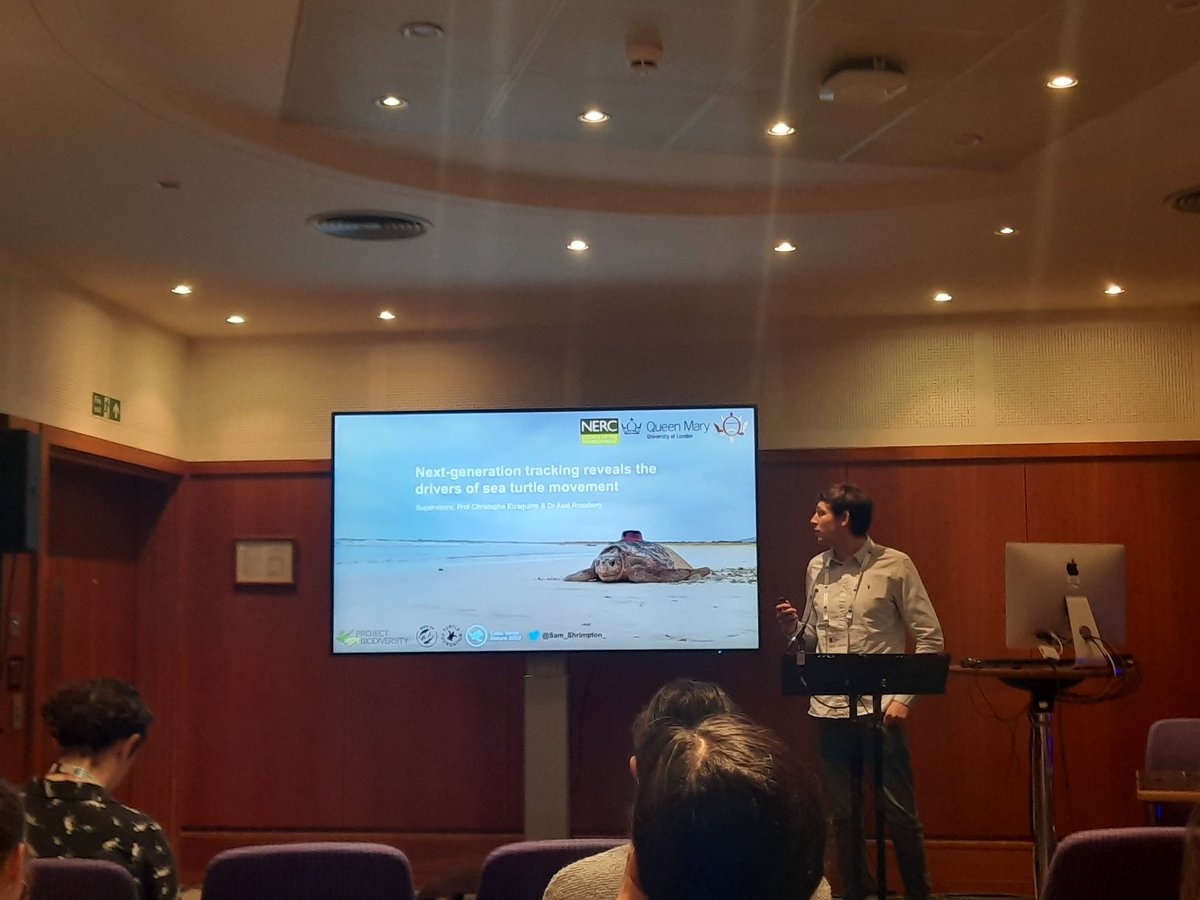 Ceci Hijar (@ceci_hi91) on Twitter photo Today our very own <a href="/Sam_Shrimpton_/">Samuel Shrimpton 🐸🦈🐢</a> gave an amazing talk at the #BES2022! We learned a lot about drivers of #SeaTurtle movement🐢 Today our very own <a href="/Sam_Shrimpton_/">Samuel Shrimpton 🐸🦈🐢</a> gave an amazing talk at the #BES2022! We learned a lot about drivers of #SeaTurtle movement🐢