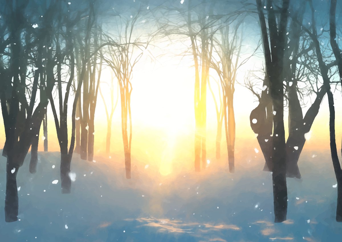 BethFratesMD's tweet photo. Happy December 21, 2023! It's Winter Solstice. It's the darkest day of the year, but you can make it cheery+bright. With the right attitude, love of friends+family, as well as some creativity, you can make this a special day+night. #WinterSolstice ☀️https://t.co/tVZ9DB13wj https://t.co/VWAnFFDB2O