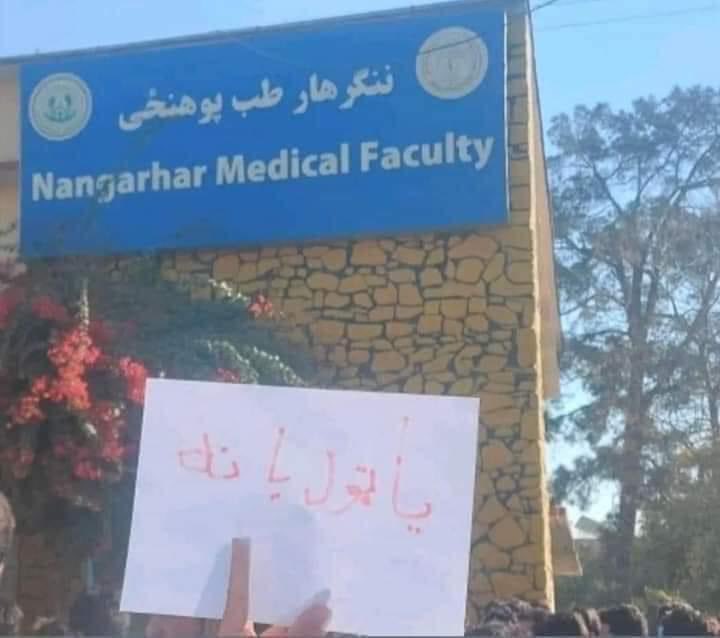Hope is radiated by these brave students.Afghan men must uphold their moral and human responsibilities to fight the Taliban's inhumane policy of forbidding women from attending universities and stand in solidarity with Afghan women fighting for their most fundamental rights.