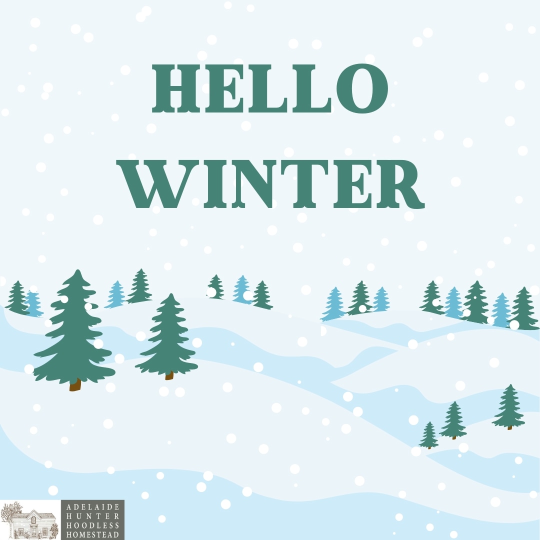 addiehoodless's tweet photo. Happy #Winter everyone!

At 4:48pm today, we officially hit the #WinterSolstice and celebrate the shortest day of the year. However, we can be excited as now the days will be getting longer once again!

#AddiesHouse https://t.co/UF123vfGjs