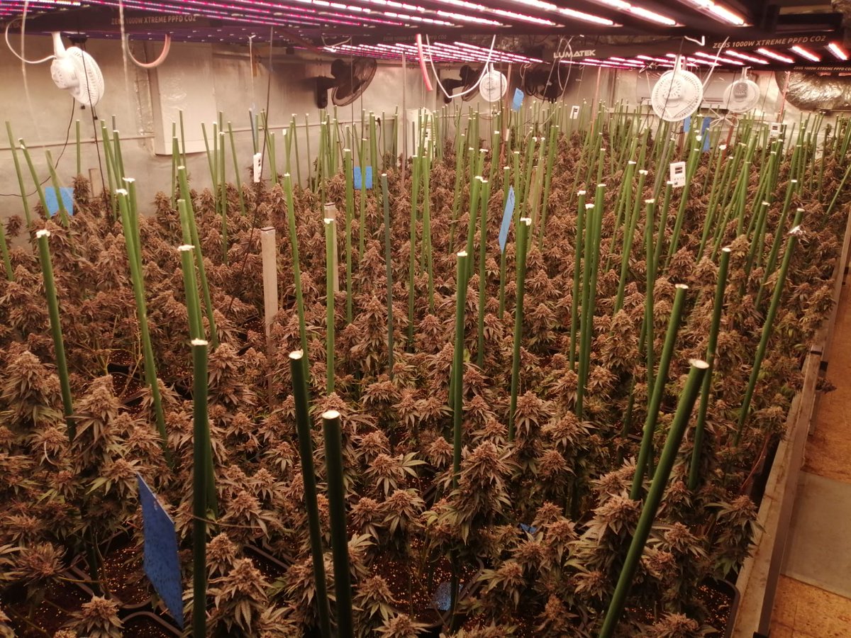 Policia Castellar V. tweet media