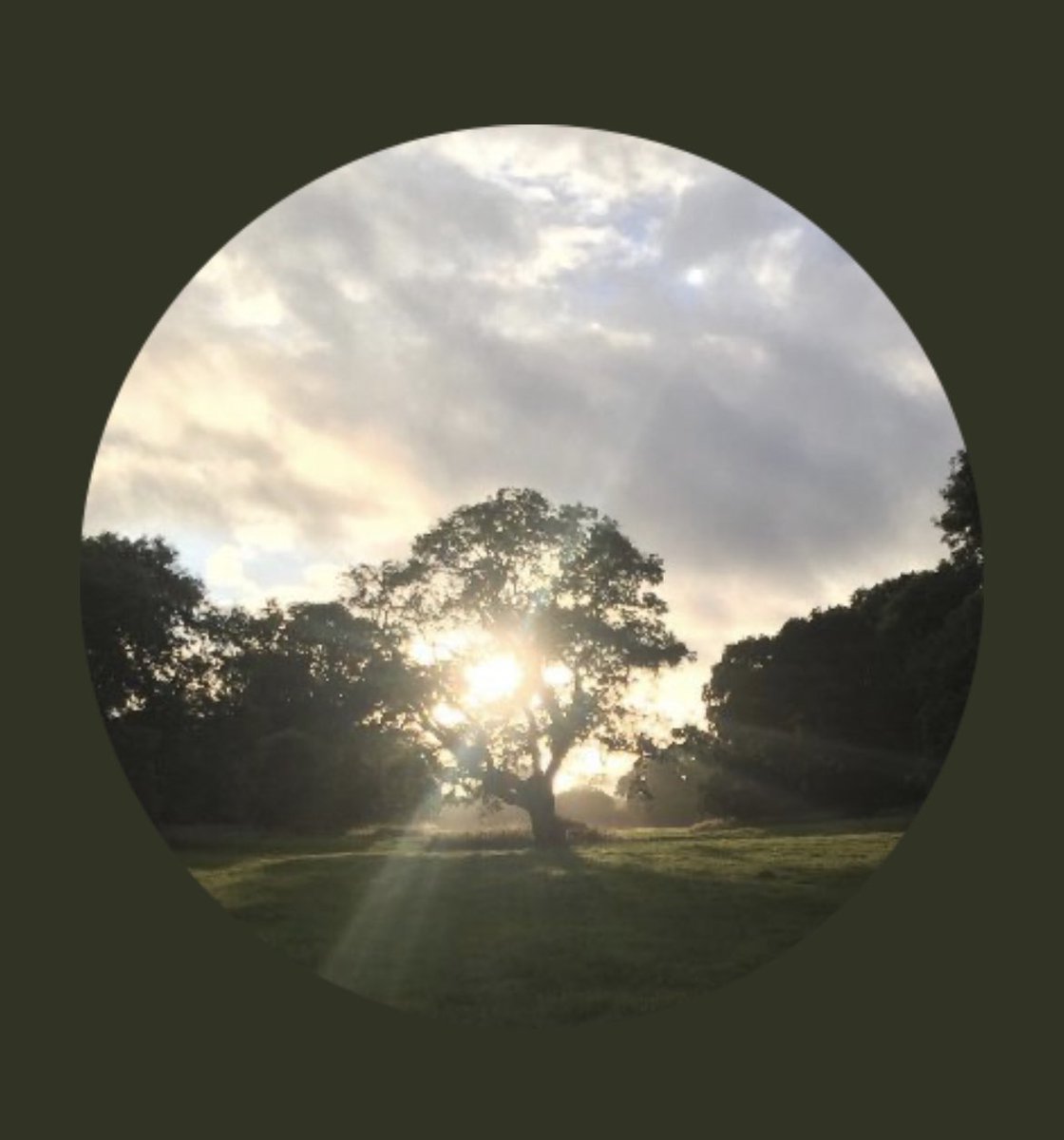 GREATglos's tweet image. Chettle Estate in North Dorset is looking for an enthusiastic &amp;amp; pioneering farmer (or farmers) to take on this smallholding. A farmer/s who has a passion for mixed &amp;amp; #regenerative #farming, who puts biodiversity, nutrition &amp;amp; resilience above yield.
 
See @RootsToWork listings