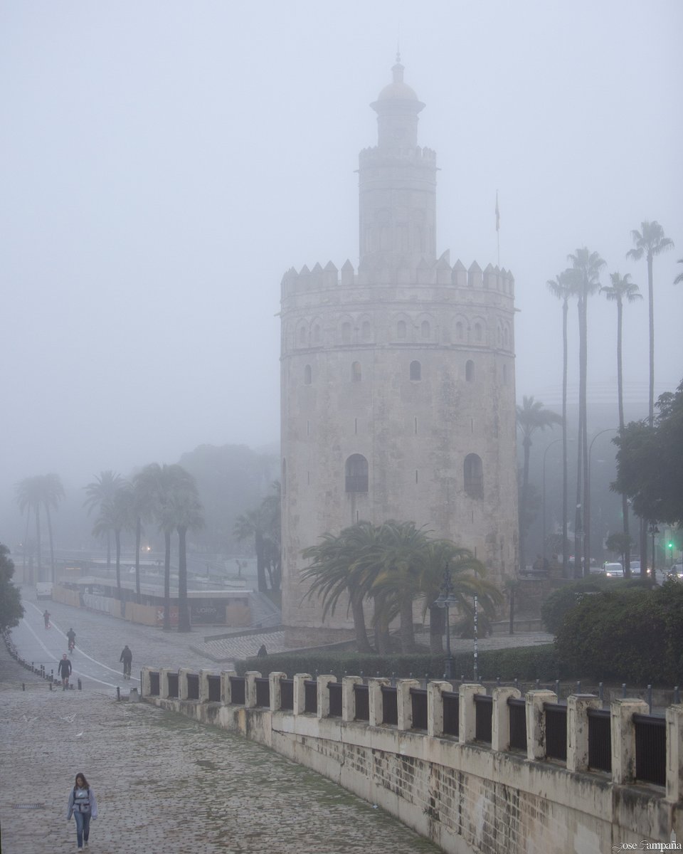 JoseCampanaF's tweet photo. Así amanecía en Sevilla para despedir el Otoño. 

#SueñaSevilla #SevillaHoy https://t.co/Te1opxsp1w