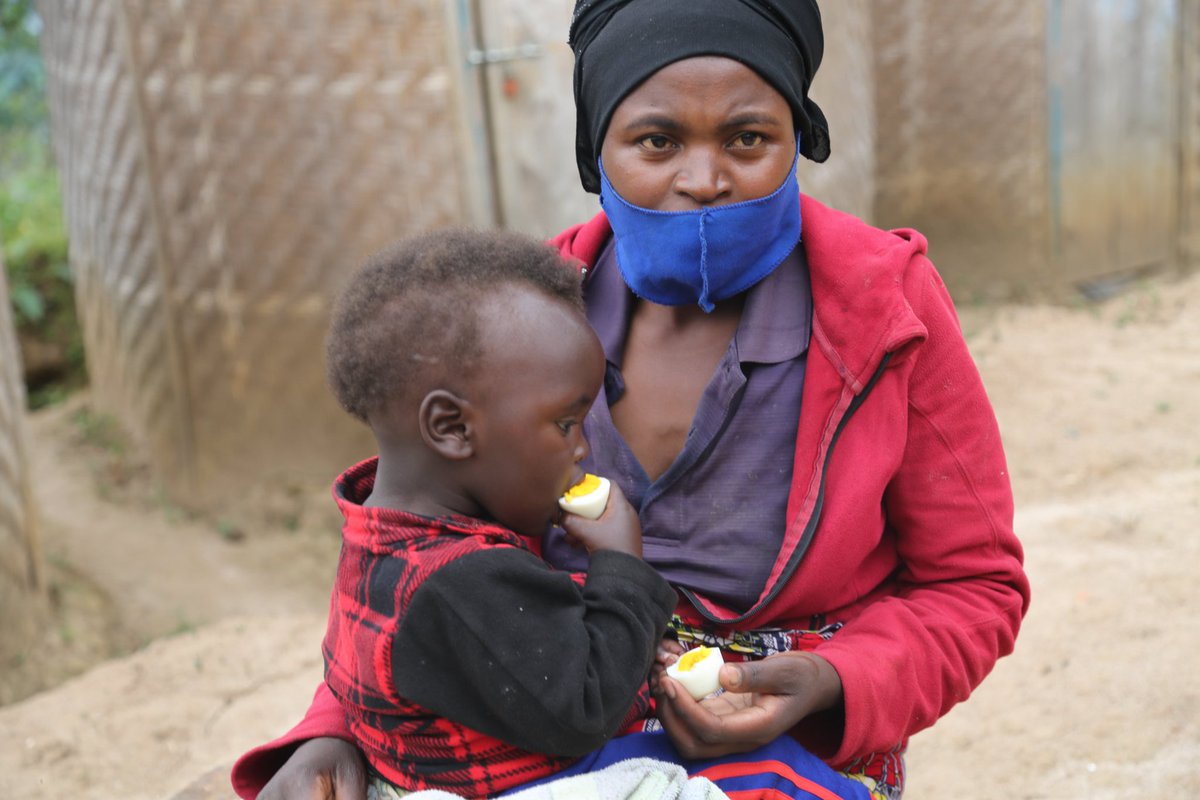 Improved nutrition gained by adding eggs to the diet of children, lactating mothers, and pregnant women has positively impacted the lives of vulnerable households in #SAIP sites across the country. The project aims to improve nutritional outcomes at the household level.