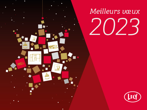 Passez de merveilleuses fêtes de fin d'année et que 2023 vous soit douce ! 
#lely #voeux