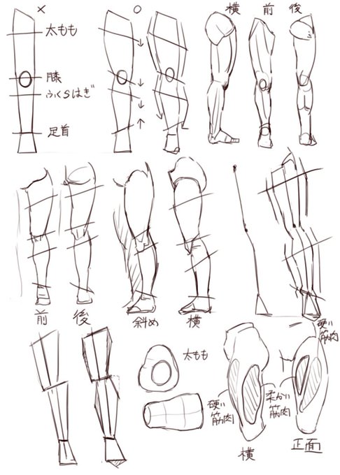 練習85日目
イラスト解体新書の模写 