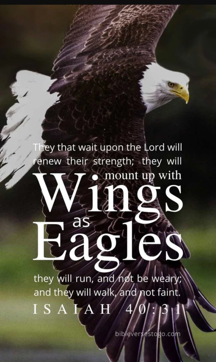 Papa Boiler ✝️🇺🇸🙏✡️ ROMANS 8:31 tweet media