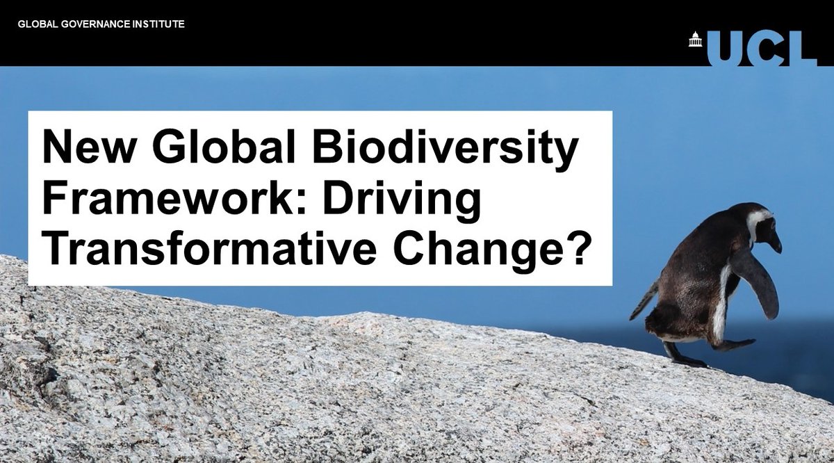 Can the new Global #Biodiversity Framework be a turning point for #nature? #COP15 bit.ly/3HPvl56