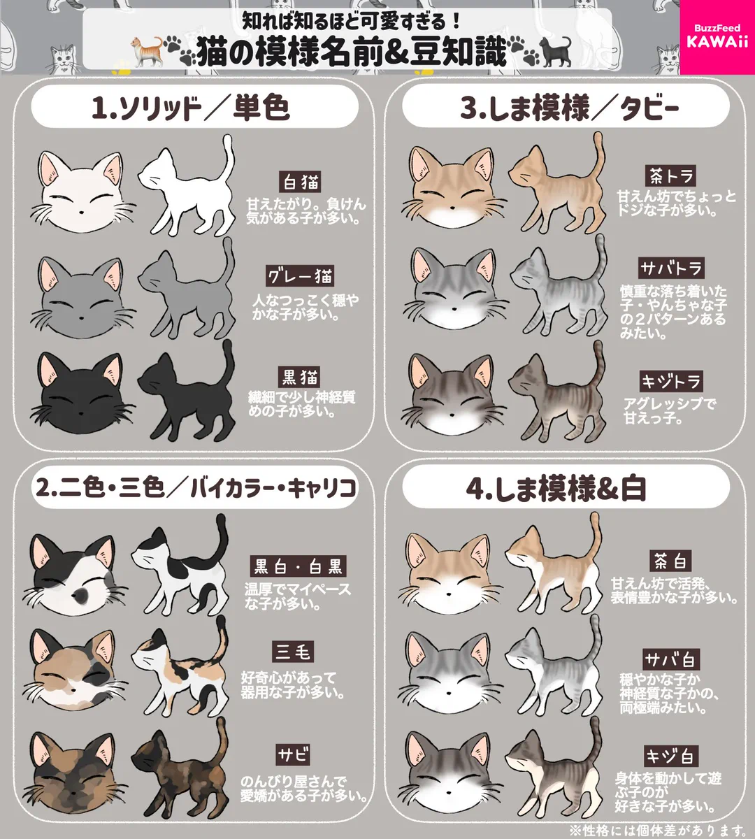 どの模様もすごく可愛い！猫の模様の名前&猫の豆知識のとっても分かりやすいまとめ！