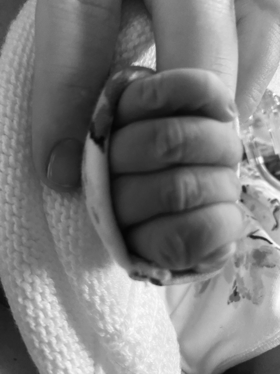 kmcmanusdoyle's tweet photo. Welcome to the world Eliza Grace O Sullivan . 💕 https://t.co/Esvfh5pE07