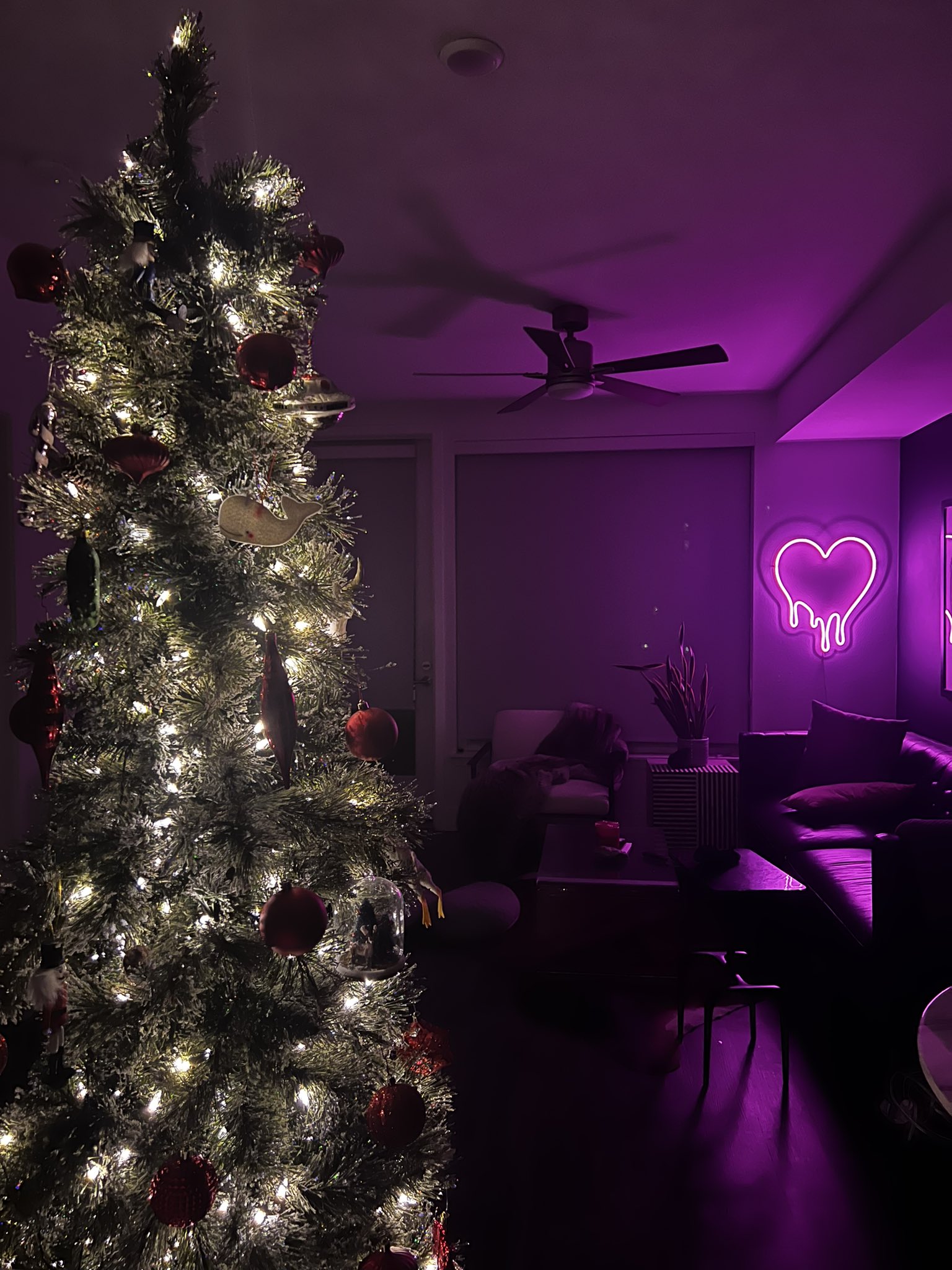 Helena Locke on Twitter: "Early morning 💜🎄 https://t.co/HK6RFjSVGR ...
