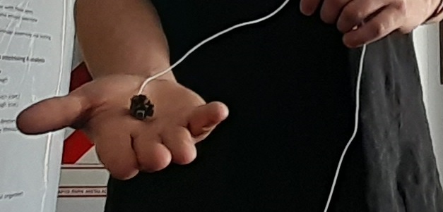 El físico @DanielBAharoni dirige en <a href="/UCLA/">UCLA</a> el <a href="/MiniscopeTeam/">Miniscope Team</a>, que desarrolla los microscopios en miniatura de código abierto más usados. Los "miniscopios" registran y analizan actividad neuronal en roedores y revolucionan los estudios de neurociencia. bit.ly/3hKzDjA