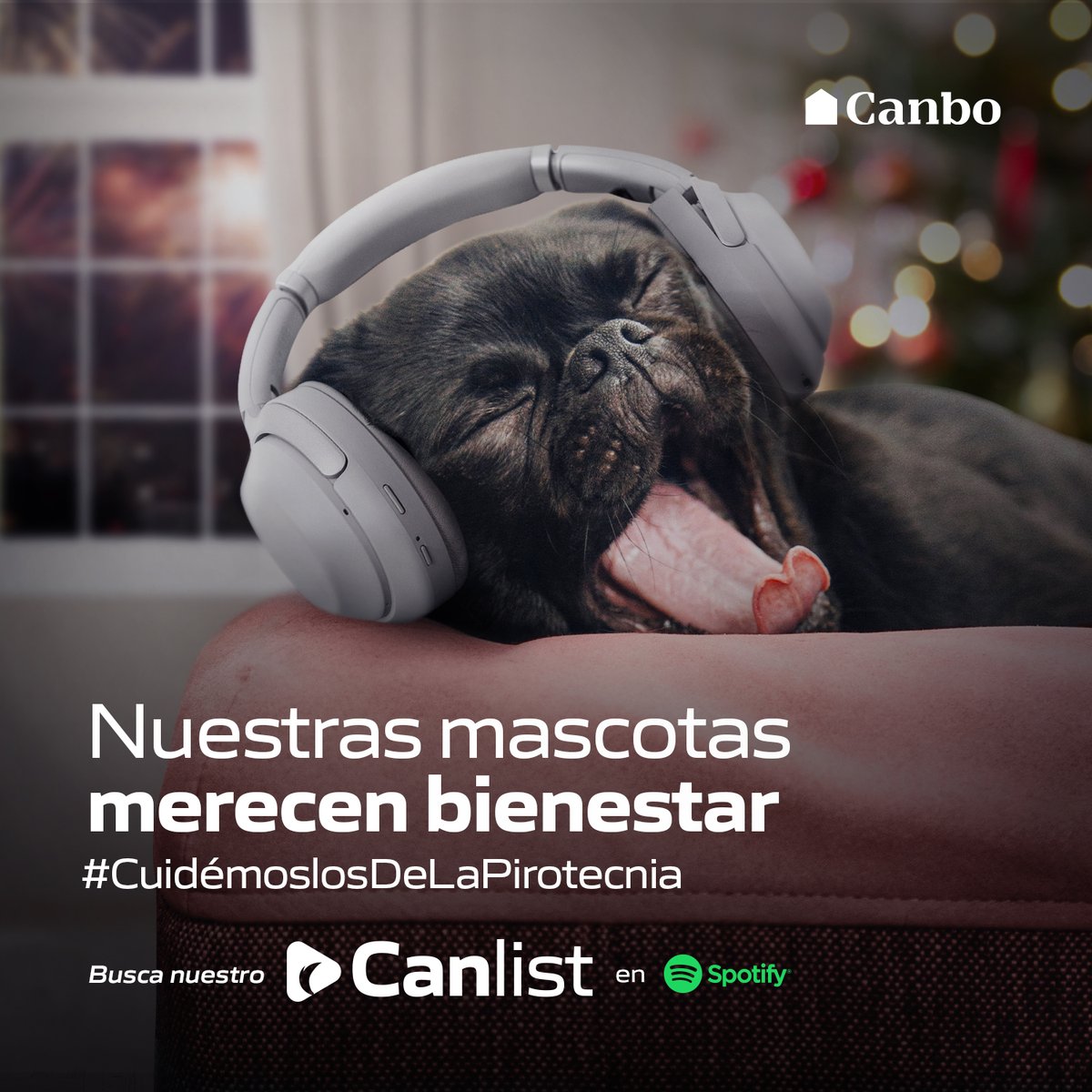 HdirECTOR_'s tweet photo. @HastaLasPatasTV Lamentablemente la pirotecnia no se va erradicar. Aquí una alternativa para cuidar el bienestar de nuestra mascotas durante los fuegos artificiales. https://t.co/U0fwBgytHc #CuidémoslosDeLaPirotecnia #Canbo #Canlist https://t.co/12nkzXYphM