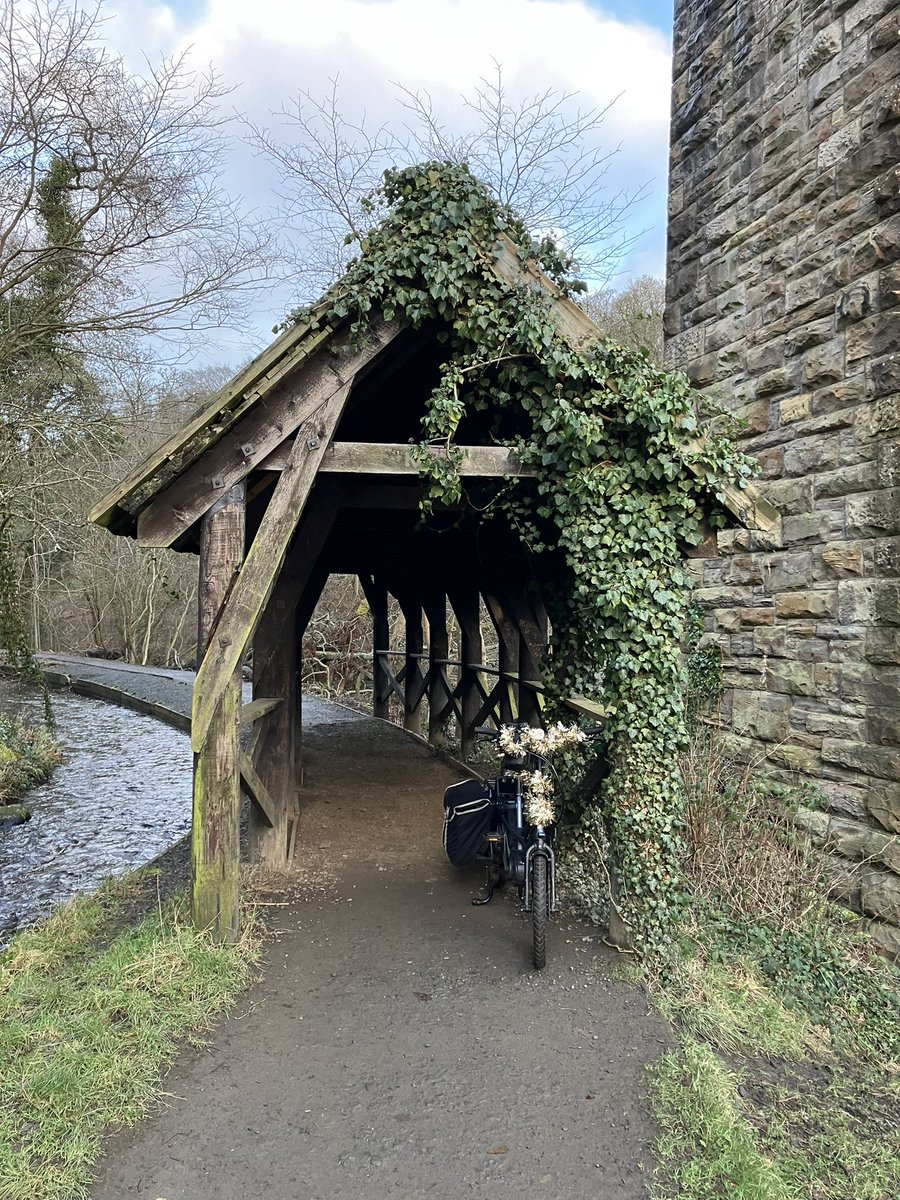 I Bike West Lothian (@ibikewlothian) on Twitter photo Did anyone spot Kirstie the elf out delivering our Leg it to Lapland prizes today?
Thank you to all schools who took part! <a href="/eastcalder_ps/">East Calder Primary School</a> <a href="/Calderwood_Pri/">Calderwood_Primary</a> <a href="/ps_pauls/">St Paul’s Primary & Nursery</a> <a href="/StAnthonysPS/">St Anthony's Primary School</a> <a href="/southdaleps/">Southdale Primary School and ELC</a> <a href="/carmondean_ps/">Carmondean PS</a>
<a href="/SustransScot/">Sustrans Scotland</a> Did anyone spot Kirstie the elf out delivering our Leg it to Lapland prizes today?
Thank you to all schools who took part! <a href="/eastcalder_ps/">East Calder Primary School</a> <a href="/Calderwood_Pri/">Calderwood_Primary</a> <a href="/ps_pauls/">St Paul’s Primary & Nursery</a> <a href="/StAnthonysPS/">St Anthony's Primary School</a> <a href="/southdaleps/">Southdale Primary School and ELC</a> <a href="/carmondean_ps/">Carmondean PS</a>
<a href="/SustransScot/">Sustrans Scotland</a>