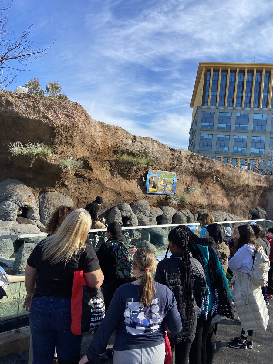 6th Grade Field Trip to Camden Aquarium! Awesome way to spend the day before winter break. #grmsknights