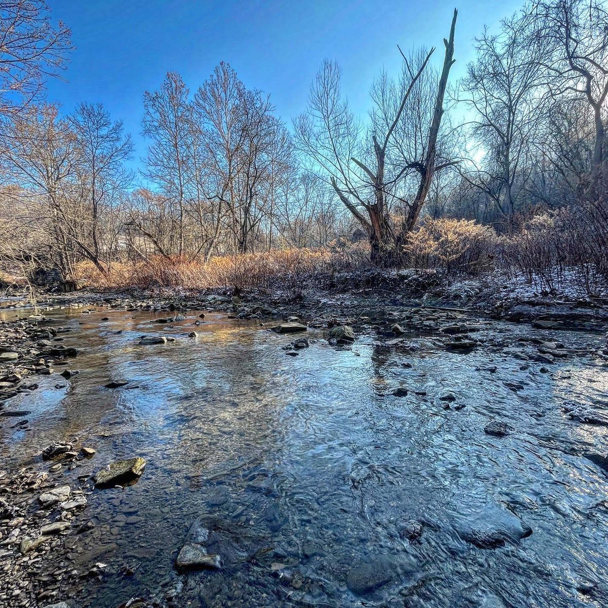 3RWaterkeeper's tweet photo. Happy First Day of Winter ❄️ Pictured here is Saw Mill Run, a tributary of the Ohio River. #waterkeeperwednesday https://t.co/lbMLgRiK9j