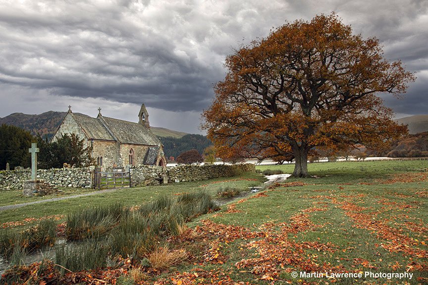 Martin Lawrence tweet media