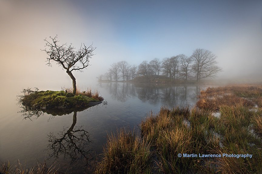 Martin Lawrence tweet media