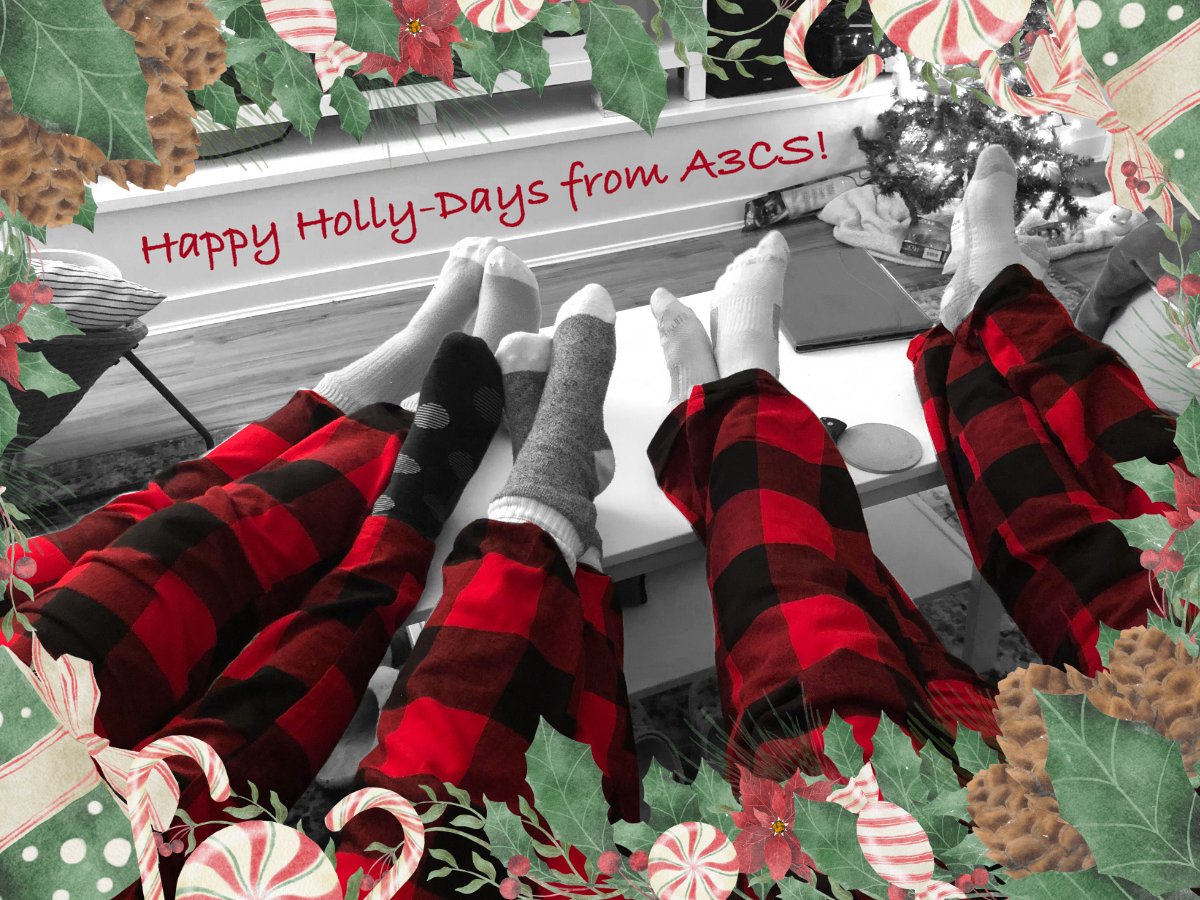 From our team to yours HAPPY HOLLY-DAYS! ❄️🥂🕎☃️ 
Wishing you love, joy and lots of gifts under the tree! 🎄
Thanks to all our clients, new and old, for another amazing year.  We will be back in the office on Jan 5th!