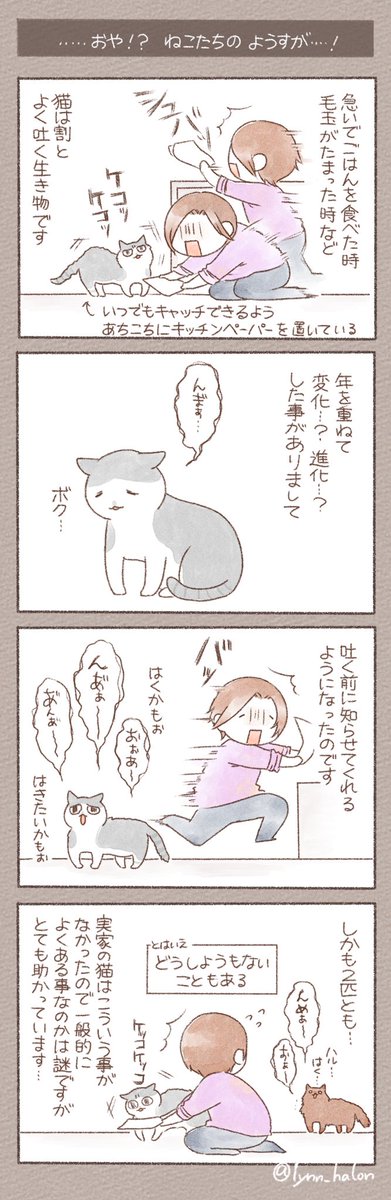 【 …おや!? ねこたちのようすが…! 】  #ごった煮ポトフ https://t.co/OW4x9WEsWF 