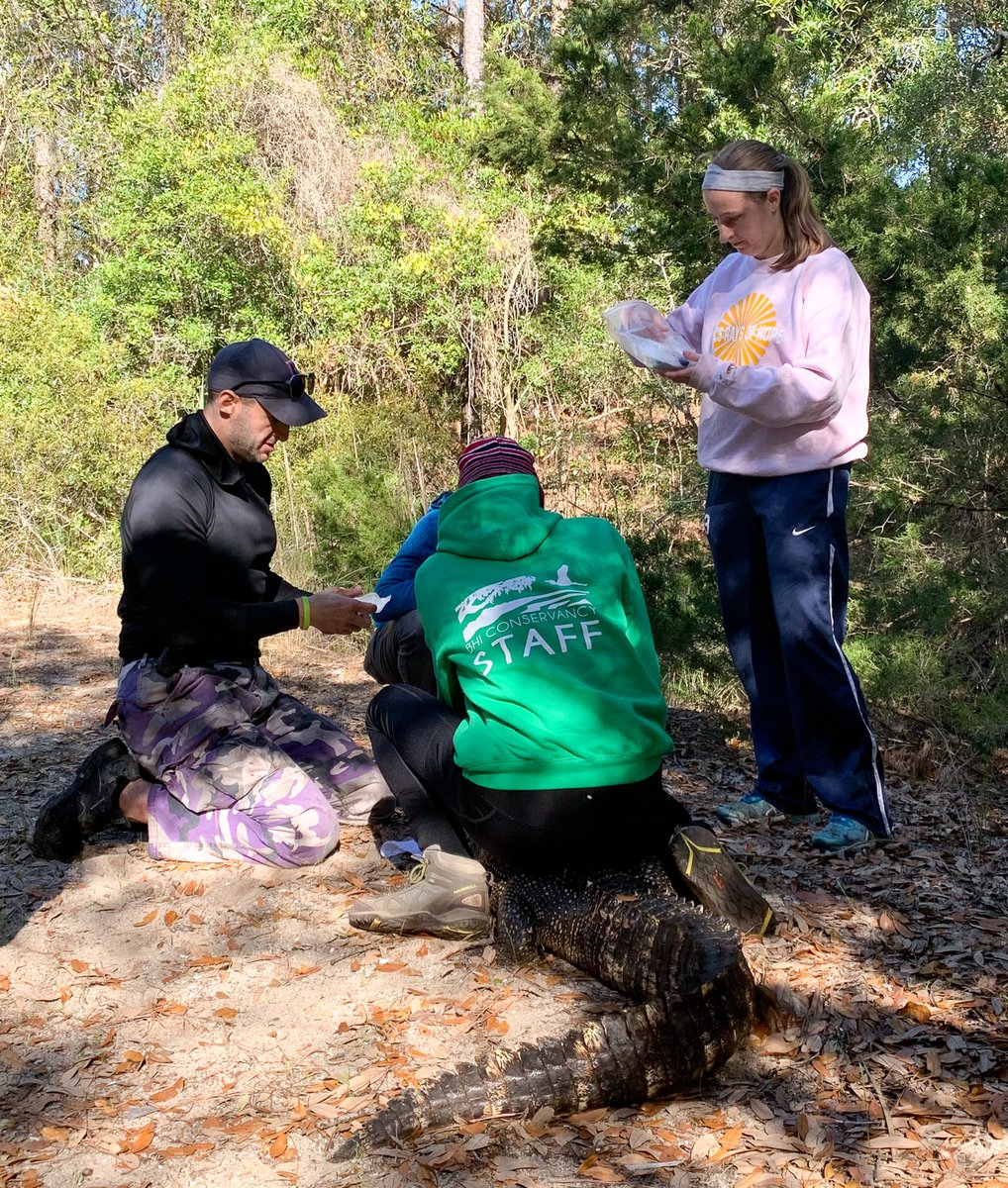We are excited to announce our new 2023 Graduate Student Fellowships in Barrier Island Science and Coastal Sustainability! Learn more at bhic.org/2023-graduate-…. #bhi #baldheadisland #nccoast