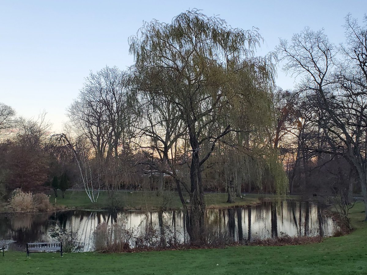 Update: I'm still trying to regain my headspace after a tragic loss. But I wanted to thank every single one of you who has not abandoned me despite my absence here. I have deep love and gratitude for you all.

Merry Christmas and Happy New Year, everyone!