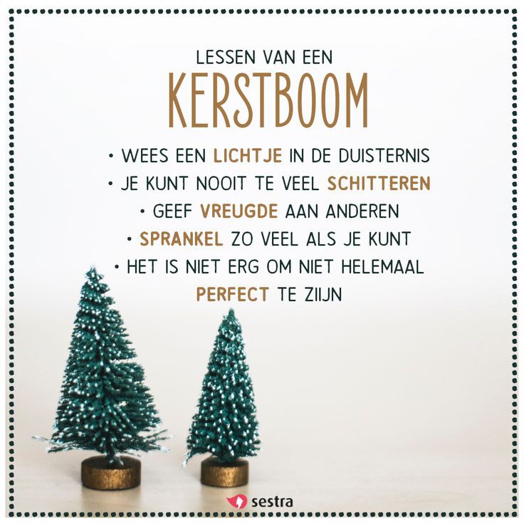 HHiphuis's tweet photo. Het HipHuis sluit vanaf vandaag even haar deuren, om op dinsdag 3 januari weer open te gaan! Heb het fijn! ♥️Tot ziens in 2023! #Deventer #hethiphuis #nbec #dagbesteding #recycle #hergebruik #duurzaam #creatief https://t.co/yh6Gdlj91s