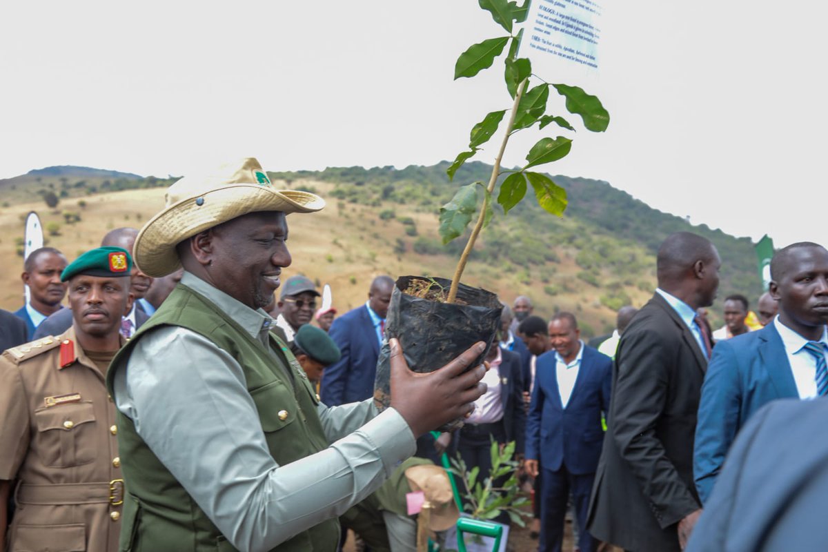 WilliamsRuto's tweet photo. This is the time for intentional placement of environmental conservation at the centre of our socio-economic transformation agenda. Through our unity of purpose and collective action, we will have a cleaner and safer environment for everyone. https://t.co/d7kehVPbZe