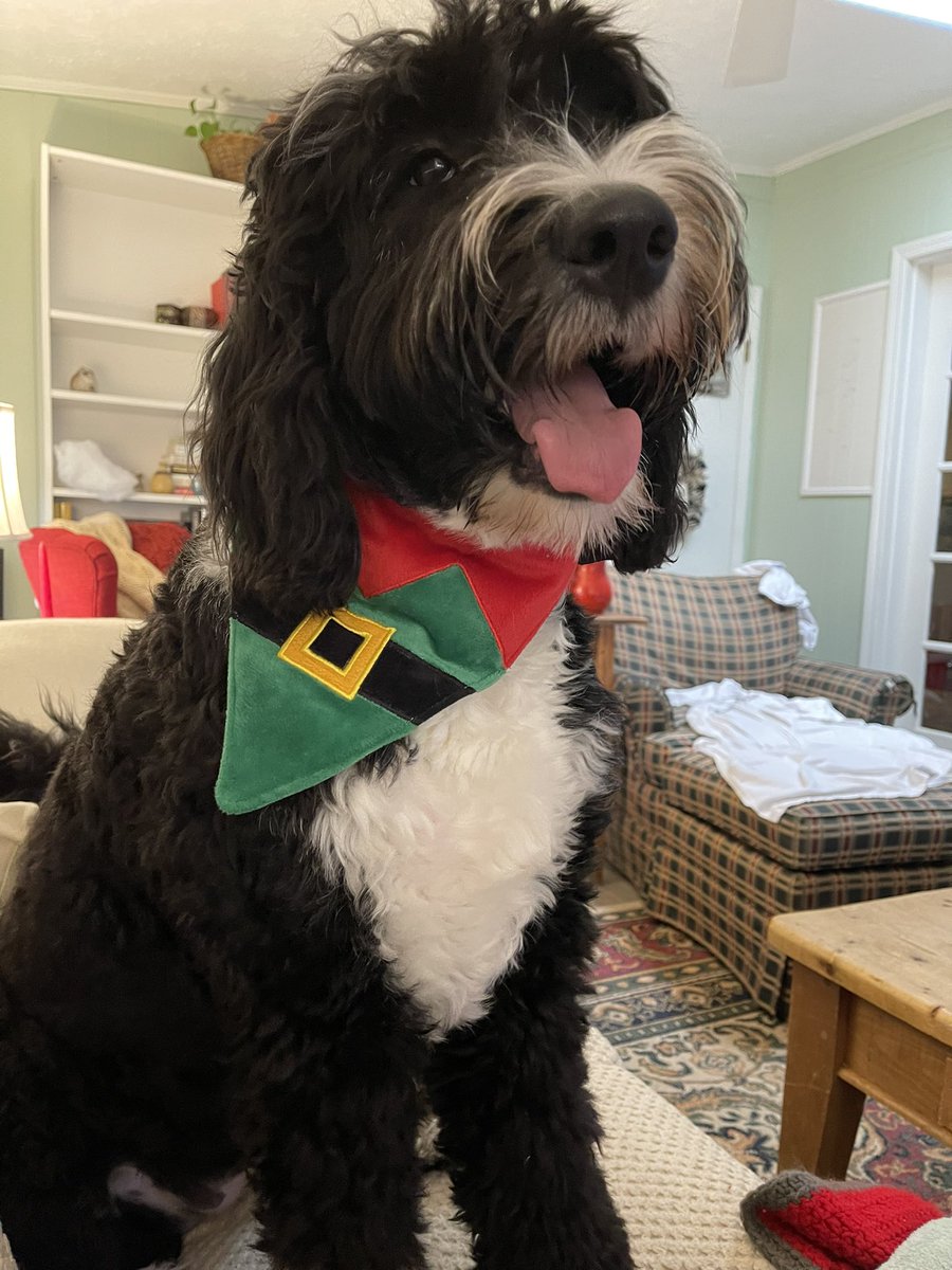 readheadreader's tweet image. Happy Holidays everyone! I just wanted to say “hi” and let y’all know I’m still alive. It has been such a rough couple of months but I’m surviving which is all I can ask for! I hope y’all are all doing well💜