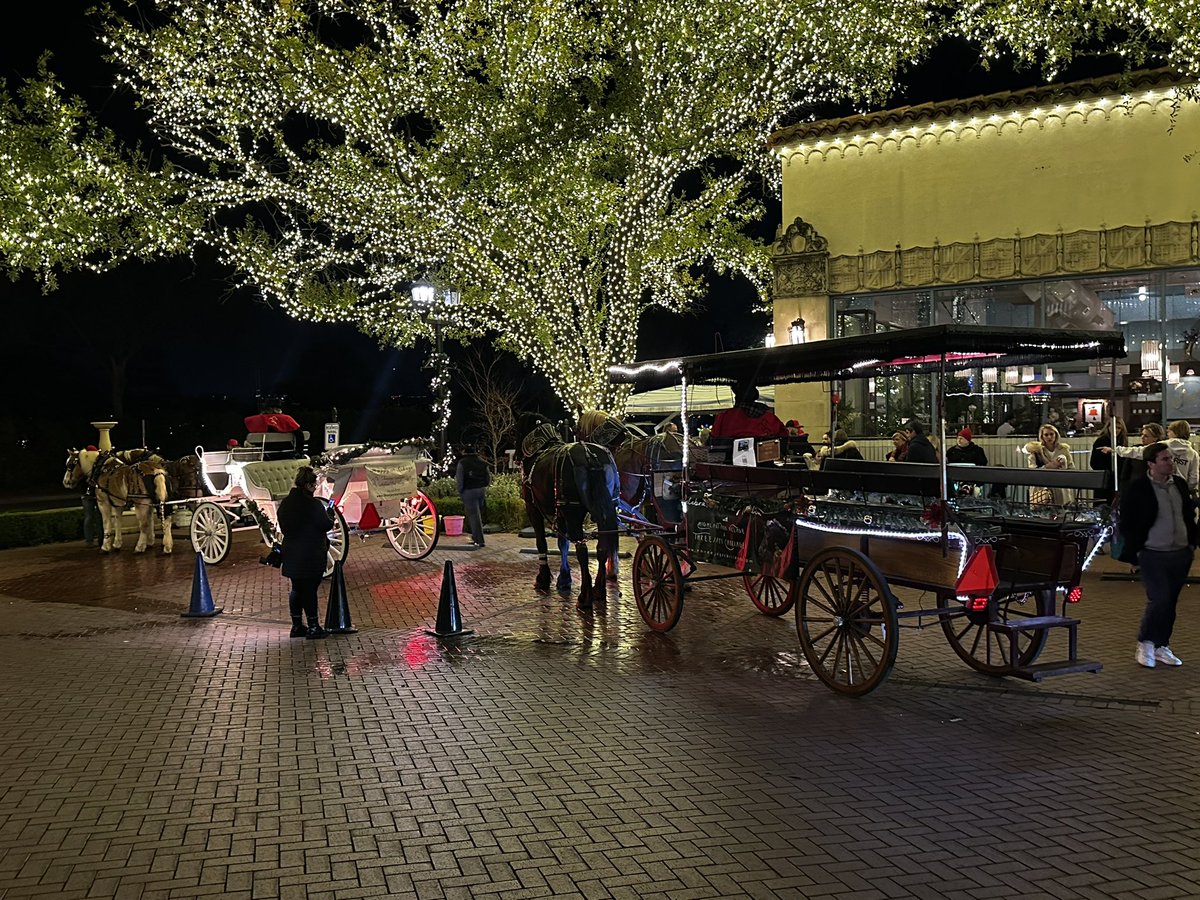 What a fun way to look at all the Christmas lights around the city. #dallas #texas #christmas #christmaslights #joekillinger #horses #horseandcarriage #holidays
