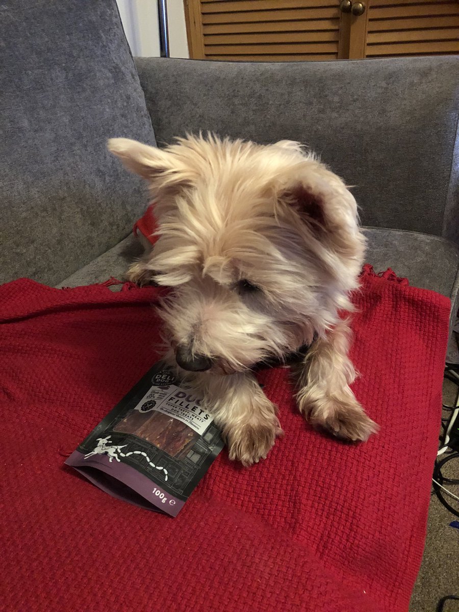 It’s me burfday everypawdy me is 6!!!