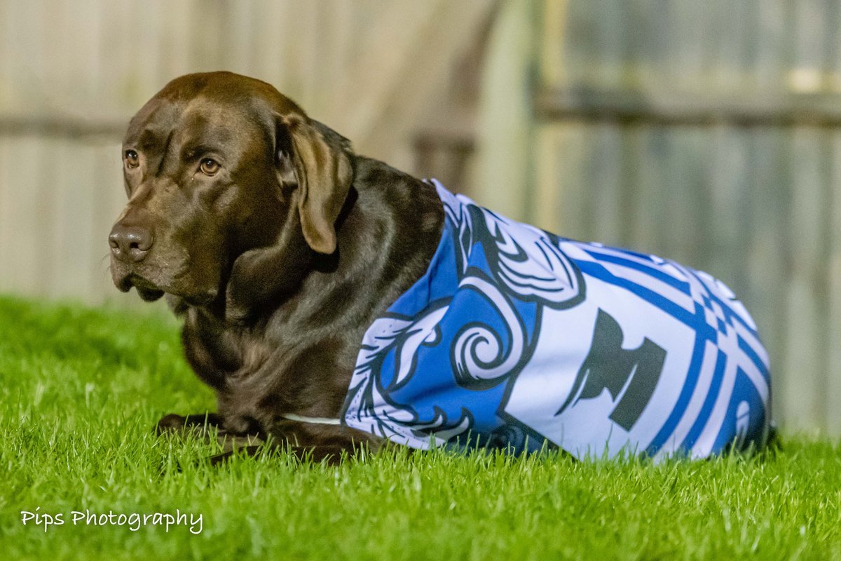 ⚪️🔵@squiresgatefc 0-1 @OfficialBuryAFC ⚪️🔵
Another top performance from AFC last night…
#bythefans 
#forthefans