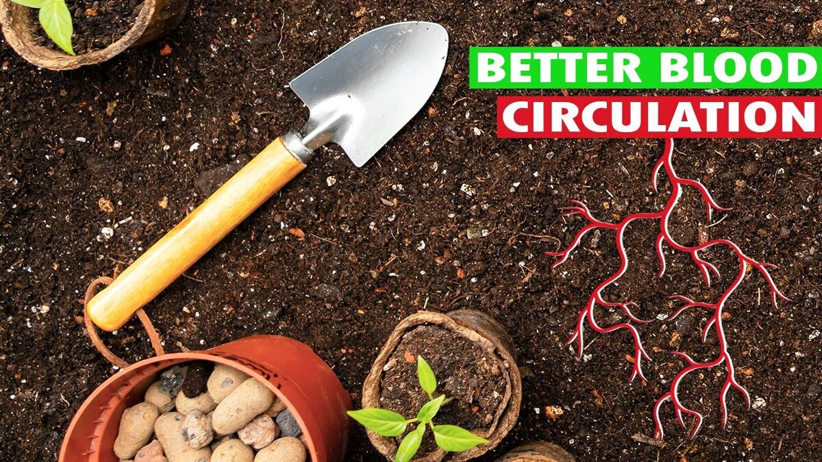 HeartScopeCare's tweet photo. Hello there,

Welcome to Scope-Care!!!

How Gardening improves Circulation &amp; Public Health

To know more about this please visit our YouTube channel: https://t.co/nmIcGikqtH

Visit our website: https://t.co/YEYwfoquVv

#hearthealth #health #heart #healthylifestyle #healthy https://t.co/56yUcFARvy