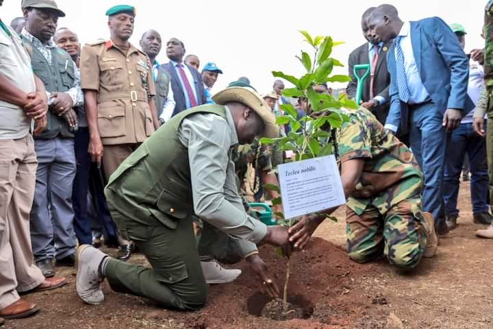 Environment_Ke's tweet photo. Pictorial : His Excellency President William Ruto, CGH has today launched the 15 Billion Trees Growing Campaign dubbed Mission 15B #Jazamiti at Kona Baridi, Ngong Hills Forest Block in Kajiado County #KuzaMiti #TunzaMiti https://t.co/wgx04reuKT