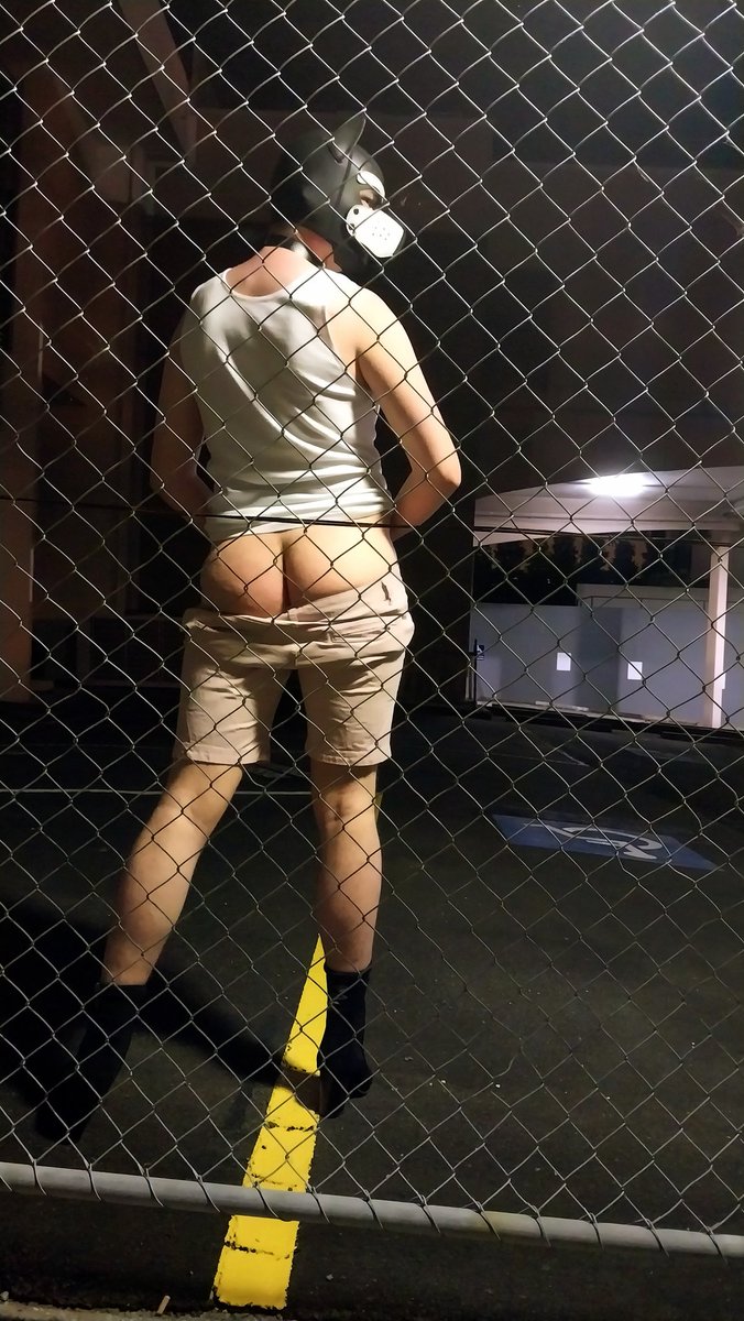 SnootoftheLoom's tweet photo. #pupplay #pupplay #bdsm #exhibitionism #pupbutt https://t.co/PzdAefH2RY