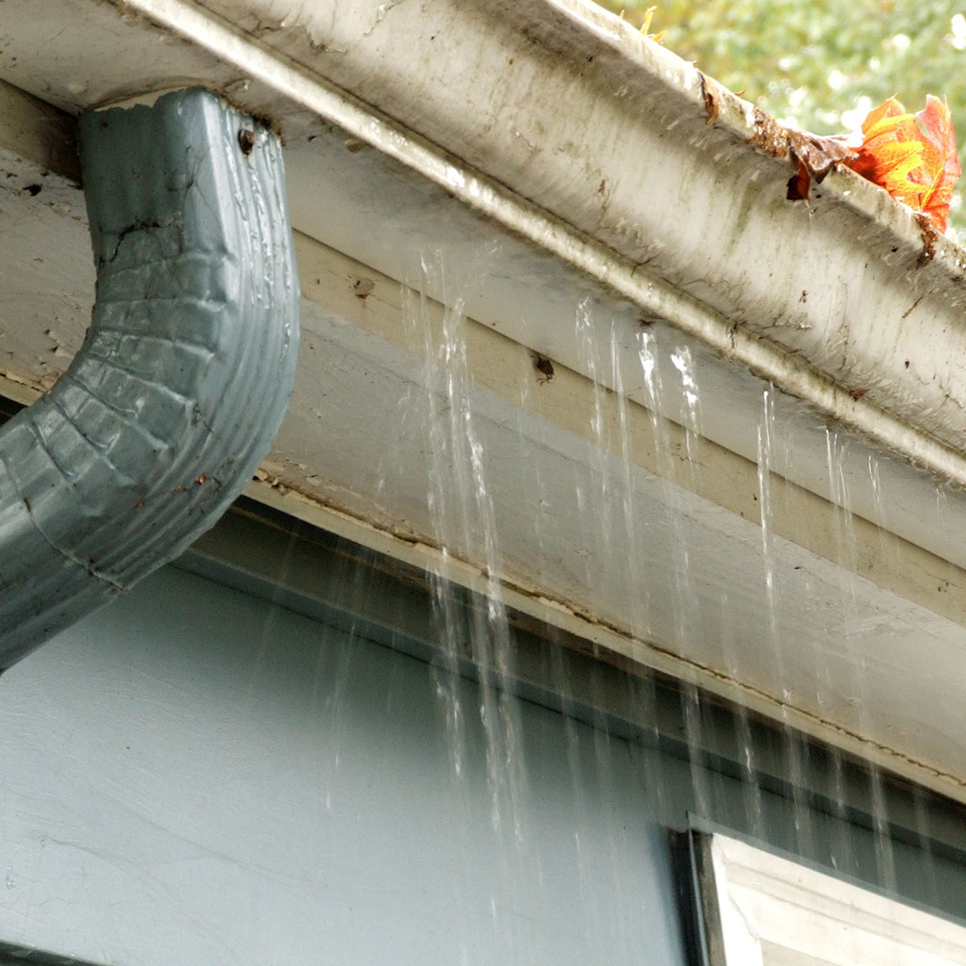 When the rain falls, you don't want your gutters to fail.

Visit RockPaintingandGutters.com today to make sure they don't.

#FriscoTX #raingutters #roofgutters