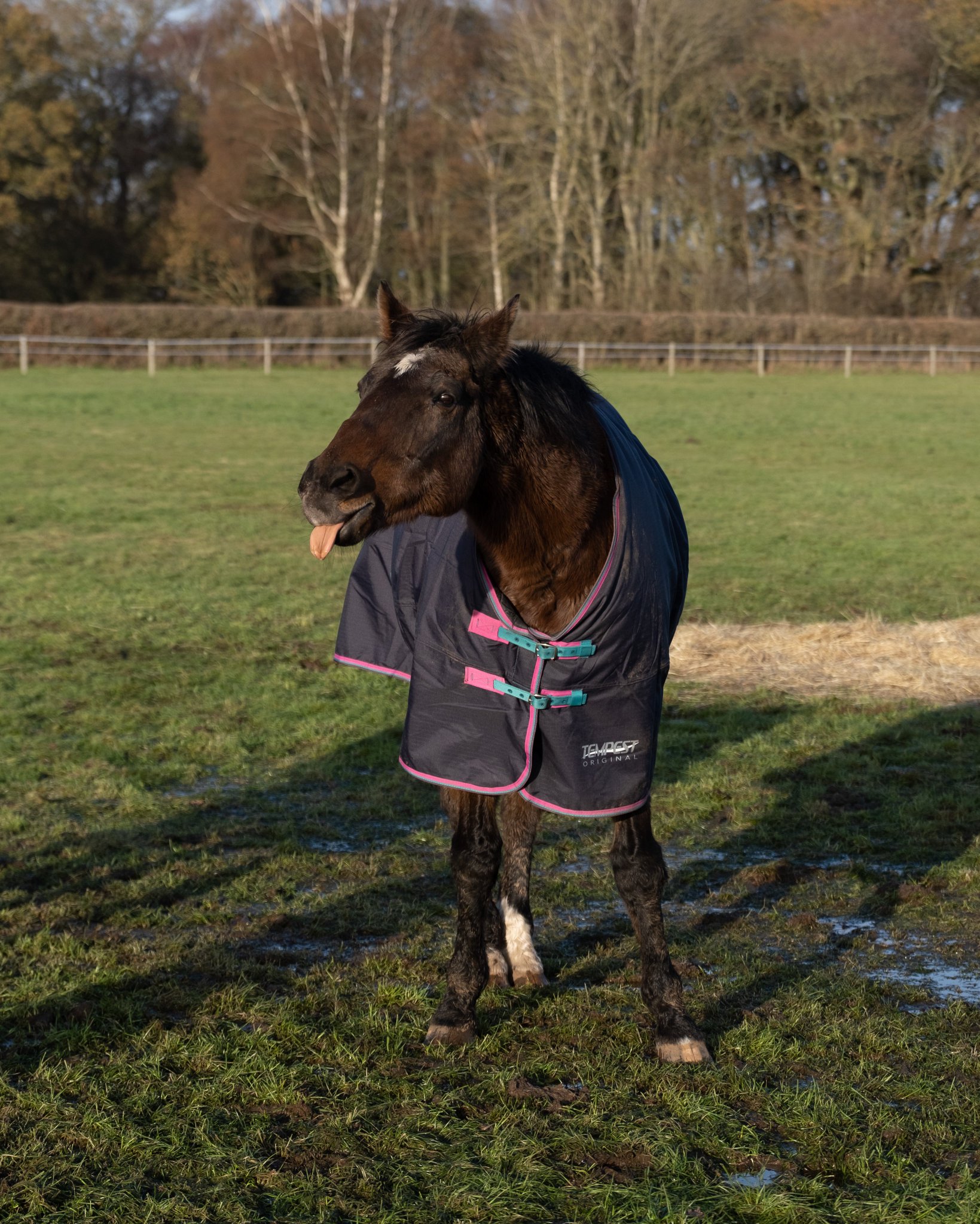 Elite Racing Club on Twitter: