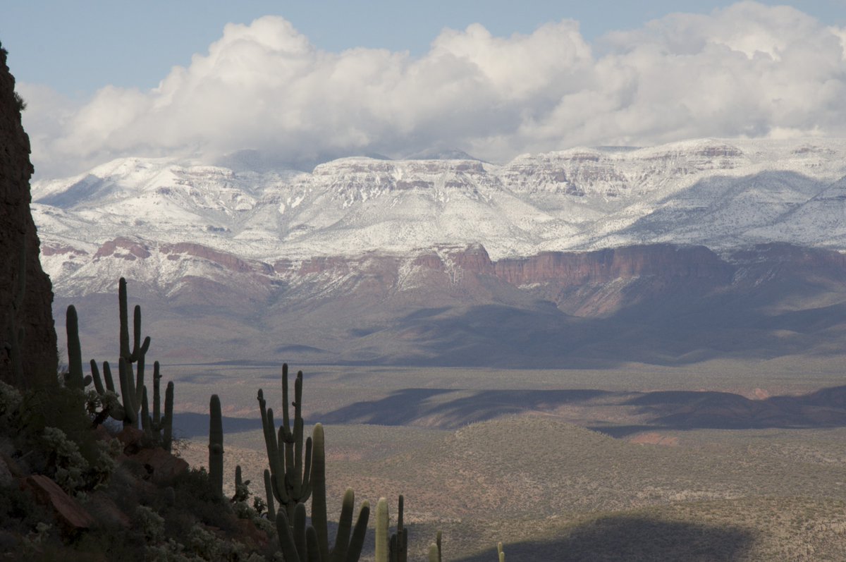 Tonto NPS tweet media