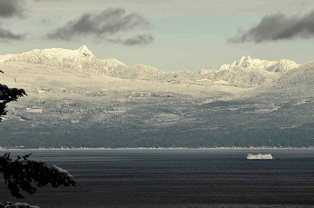 BC Ferries tweet media