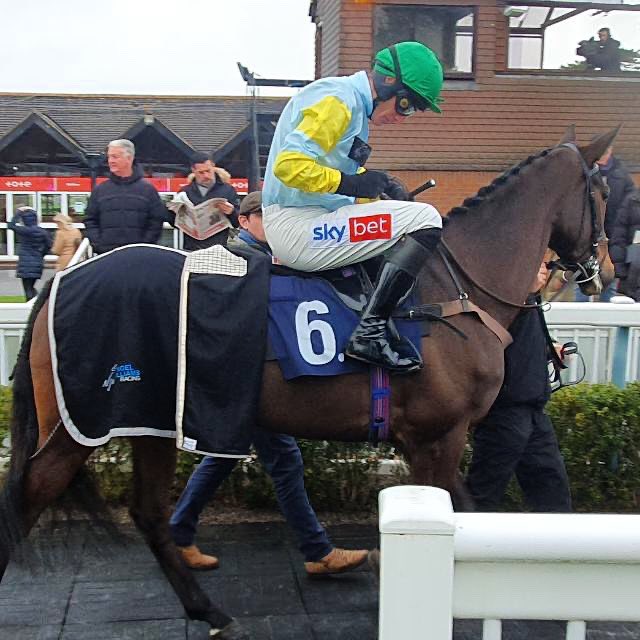 Very promising start from Lucky Rose in a competitive bumper at @LingfieldPark today, finishing 2nd under @Dazjacob10 on her racecourse debut for owners @JonnyHorses & Austin Allison. She has a bright future!  @StroudColeman #noelwilliamsracing