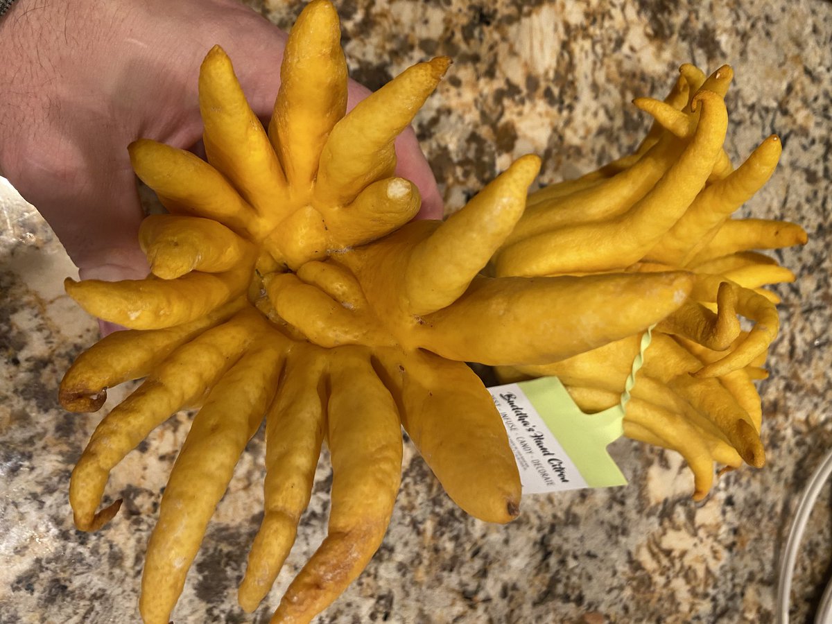 matthewpace tweet media